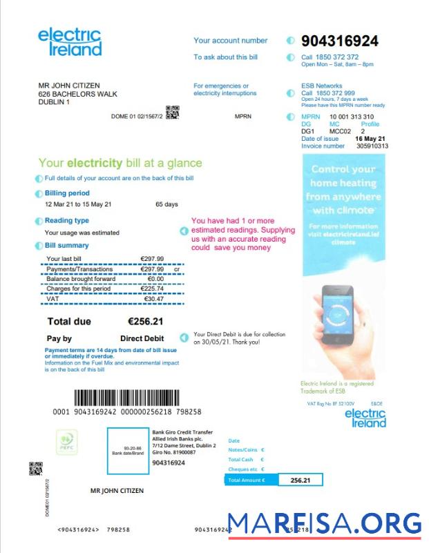 Realistic Ireland Electric Ireland utility bill template